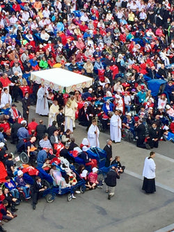 Lourdes Pilgrimage 2024 Processing Fee